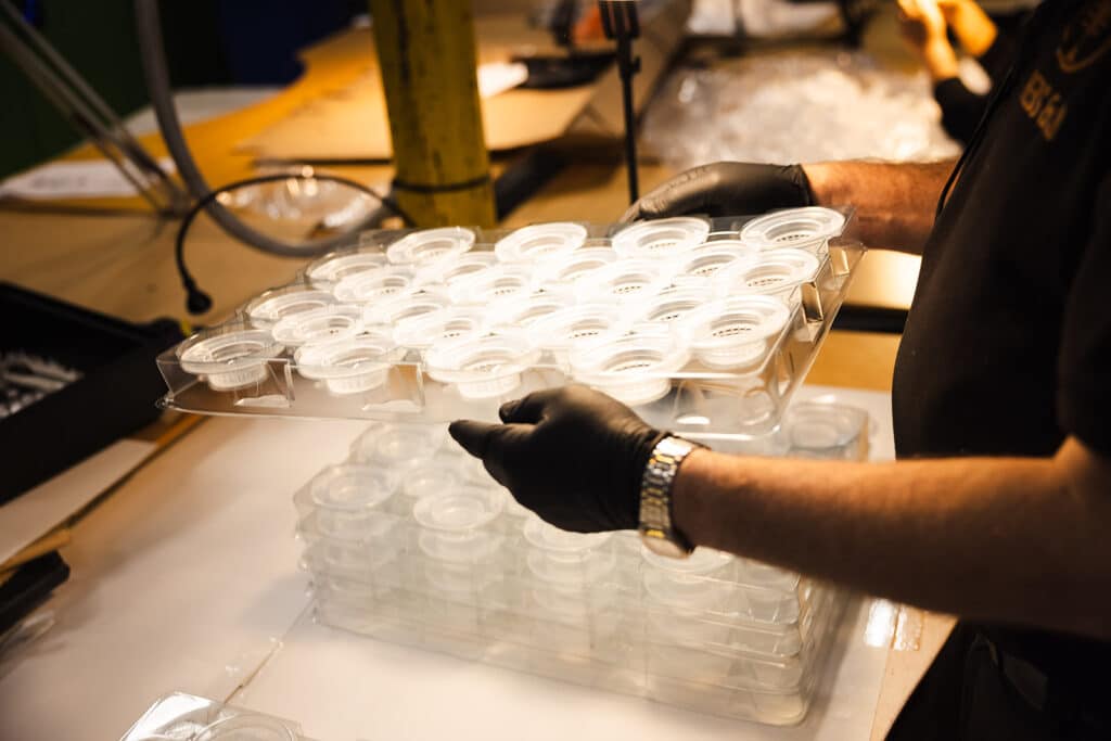 Plaststøbning prototyper - Krebs & Co